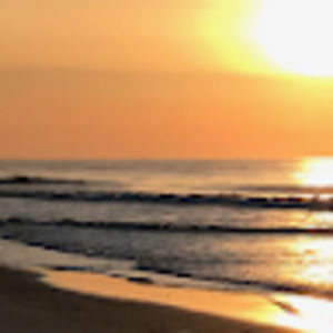 Meet your Posher, Oscar